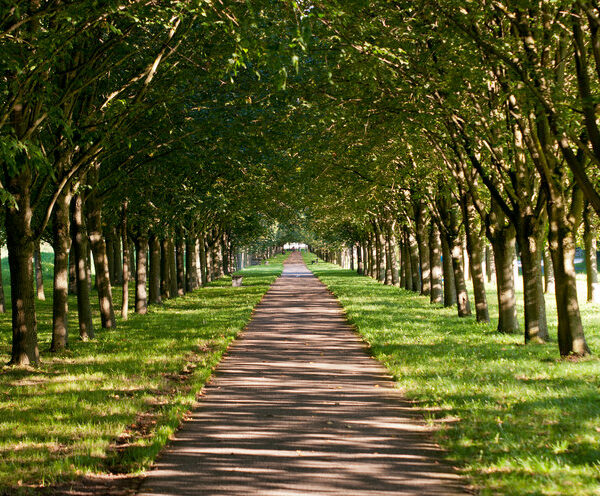 Himmelkron: Promenieren auf der Baille-Maille-Allee