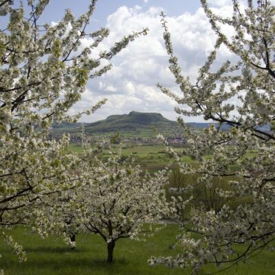 Kirchehrenbach, Wiesenthau bis Leutenbach: Auf dem Panoramaweg rund ums Walberla