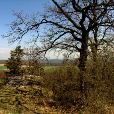 Klosterlangheim: Von Katharina bis Christopherus, auf dem Nothelferweg nach Vierzehnheiligen