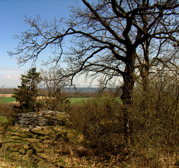 Klosterlangheim: Von Katharina bis Christopherus, auf dem Nothelferweg nach Vierzehnheiligen