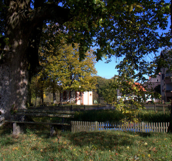 Krögelhof: Holzofenbrote und mehr