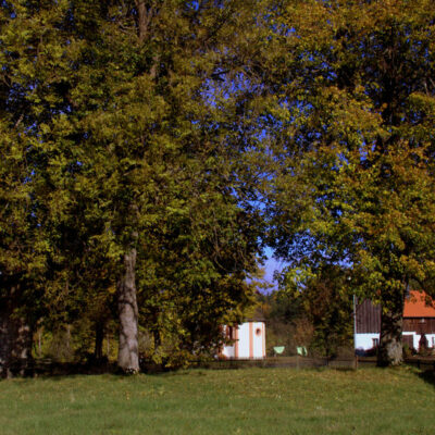 Krögelhof: Holzofenbrote und mehr