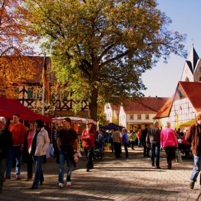 Landkreis Bamberg: Zum traditionellen Apfelmarkt