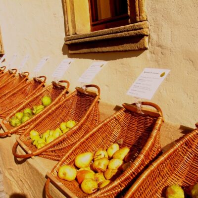 Landkreis Bamberg: Zum traditionellen Apfelmarkt