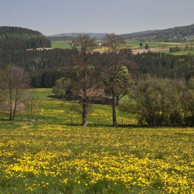 Landkreis Kulmbach: Auf dem Töpferweg