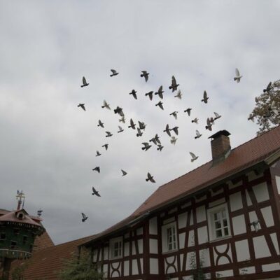 Landkreis Kulmbach: Auf dem Töpferweg