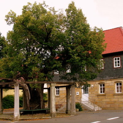 Mannsgereuth: Besuch im Kräutergarten