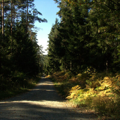 Mistelbach: Auf dem Bierquellenwanderweg