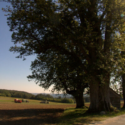 Mistelbach: Auf dem Bierquellenwanderweg