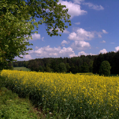 Radelbares Oberfranken: Mühlenradweg Weismain - Kleinziegenfelder Tal