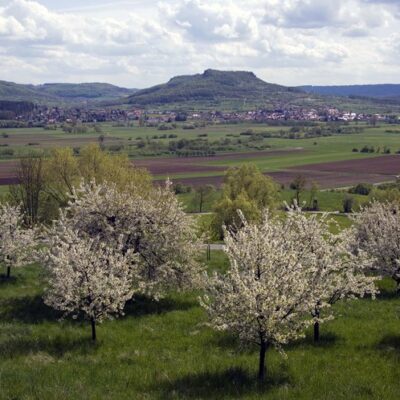 Radelbares Oberfranken: Regnitzradweg - eine Erlebnisradtour von Bamberg nach Nürnberg