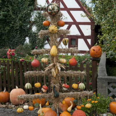 Radelbares Oberfranken: Regnitzradweg - eine Erlebnisradtour von Bamberg nach Nürnberg