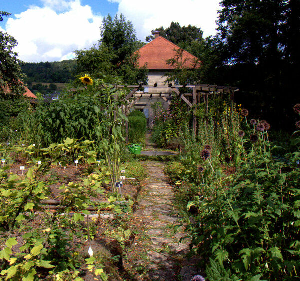 Schmölz: Ein historisches Kleinod: Der Kräutergarten beim Pfarrhaus