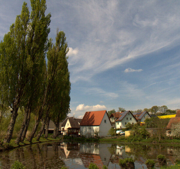 Steigerwald (Naturpark): Karpfenteiche - kleine Naturparadiese