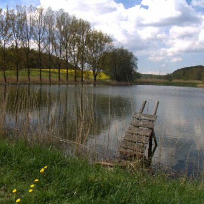 Steigerwald (Naturpark): Karpfenteiche - kleine Naturparadiese