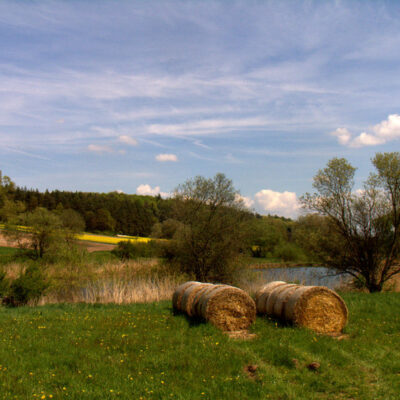 Steigerwald (Naturpark): Karpfenteiche - kleine Naturparadiese