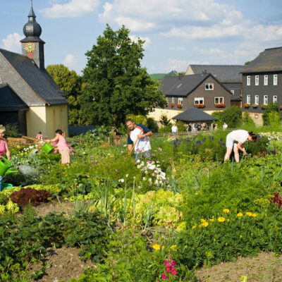 Steinbach an der Haide: Besuch im Pflanzgarten auf dem Dorfplatz