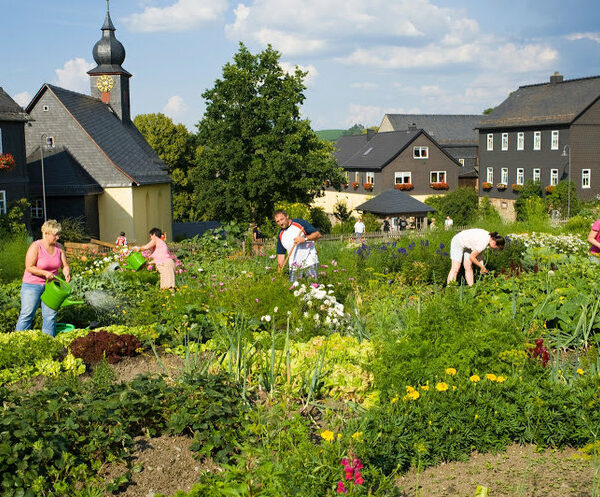 Steinbach an der Haide: Besuch im Pflanzgarten auf dem Dorfplatz