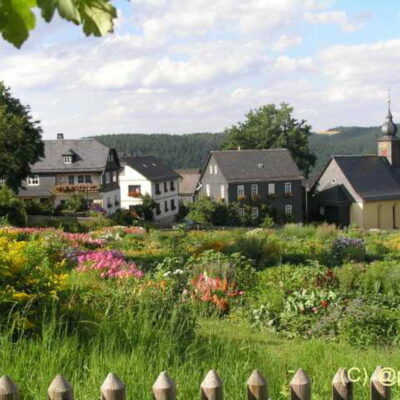 Steinbach an der Haide: Besuch im Pflanzgarten auf dem Dorfplatz