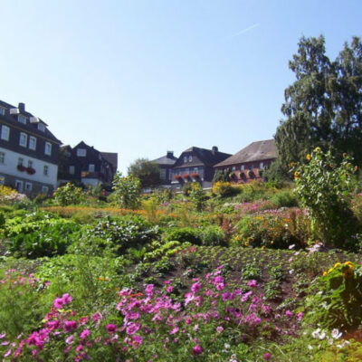 Steinbach an der Haide: Besuch im Pflanzgarten auf dem Dorfplatz