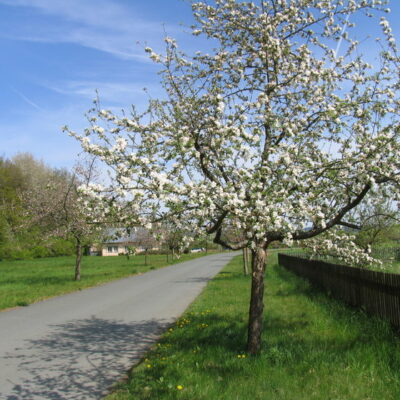 Steinenhausen (Kulmbach): Mainzusammenfluss und Schloss Steinenhausen