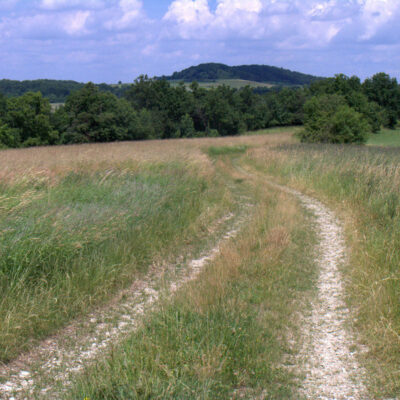 Uetzing: Ins Land der Nüsse