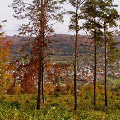 VGN-Tour: Über den Wolken - von Ebermannstadt über den Feuerstein nach Pretzfeld