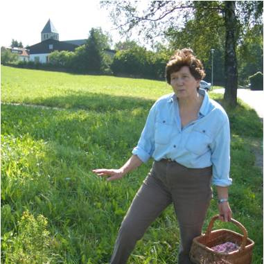 Frieda Frosch - Bischofsgrüner Wildkräuterschule