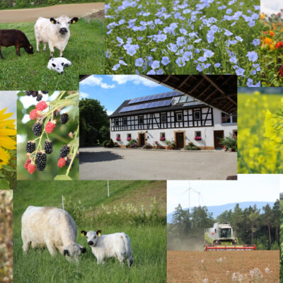 Biohof Distler, Kulmbach