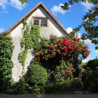 Biohof Distler, Kulmbach