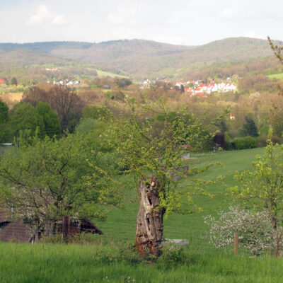 Landschaftspflegeverband Weidenberg und Umgebung e.V., Weidenberg