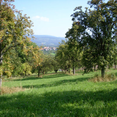 Landschaftspflegeverband Weidenberg und Umgebung e.V., Weidenberg