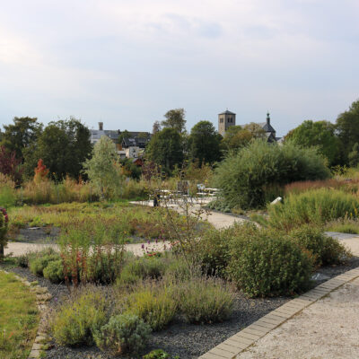 Arnikastadt Teuschnitz: Naturerlebnis Teuschnitzaue