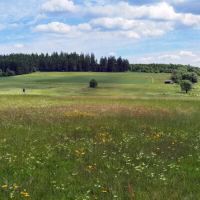 Arnikastadt Teuschnitz: Naturerlebnis Teuschnitzaue