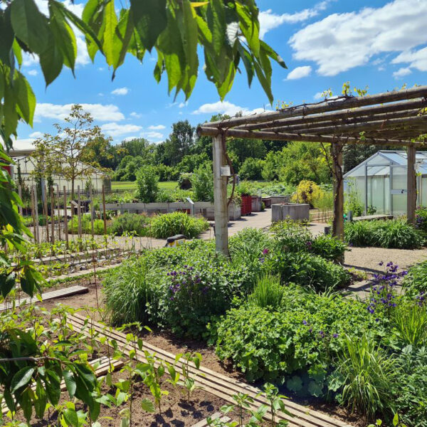 Bamberg: Besuch im Schaugarten des Gemüseversuchsbetriebes