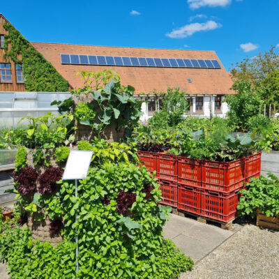 Bamberg: Besuch im Schaugarten des Gemüseversuchsbetriebes