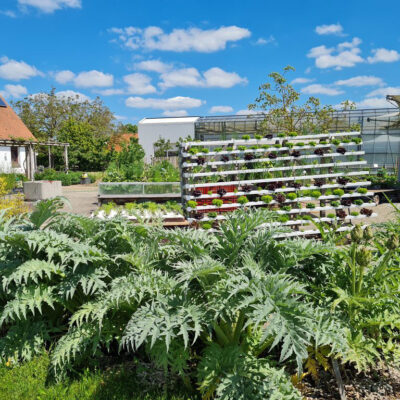 Bamberg: Besuch im Schaugarten des Gemüseversuchsbetriebes