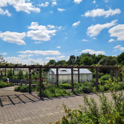 Bamberg: Besuch im Schaugarten des Gemüseversuchsbetriebes