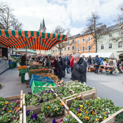 Genussort Hof: Wochen- und Ostermarkt