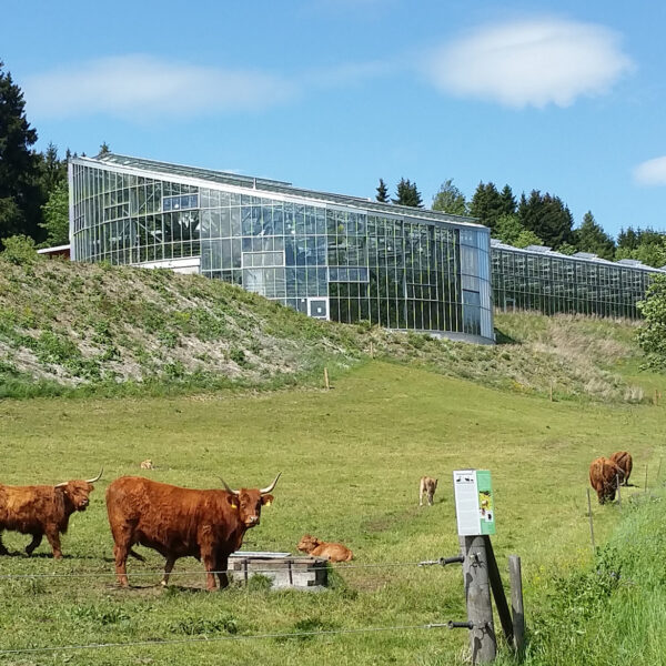 Kleintettau: Das Tropenhaus 'Klein-Eden'