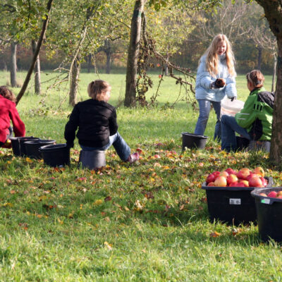 Lauf bei Zapfendorf: Ein Blick ins Paradies - die Obstsortenanlage Lauf