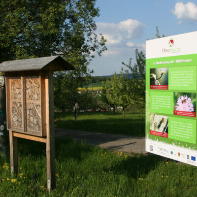 Lauf bei Zapfendorf: Ein Blick ins Paradies - die Obstsortenanlage Lauf