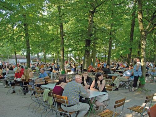 Wilde Rose Keller, Bamberg. Foto: Markus Raupach