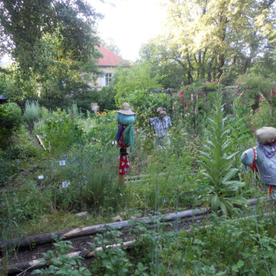 Schmölz: Ein historisches Kleinod: Der Kräutergarten beim Pfarrhaus