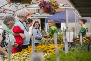 Tag der offenen Gärtnereien in Bamberg 2026. Foto: Lara Müller, Stiftungsmanagement Stadt Bamberg.