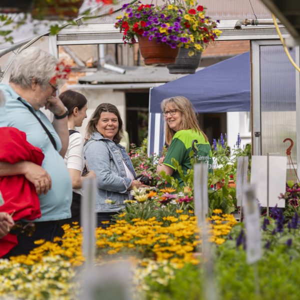 Tag der offenen Gärtnereien in Bamberg 2026. Foto: Lara Müller, Stiftungsmanagement Stadt Bamberg.
